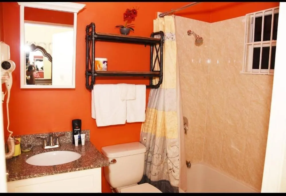 Irie Smart Villa 2 Falmouth Jamaica