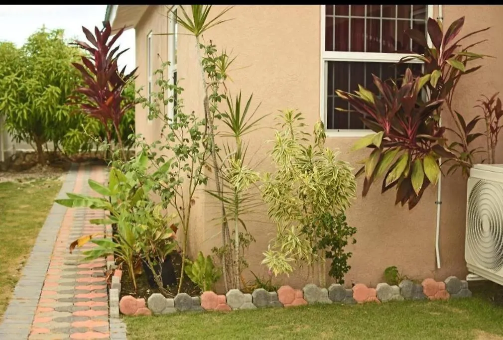 Irie Smart Villa 2 Falmouth Jamaica
